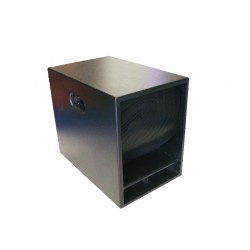 Subwoofer 12 autoamplificado