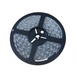 Tira LED 5050 60led/m